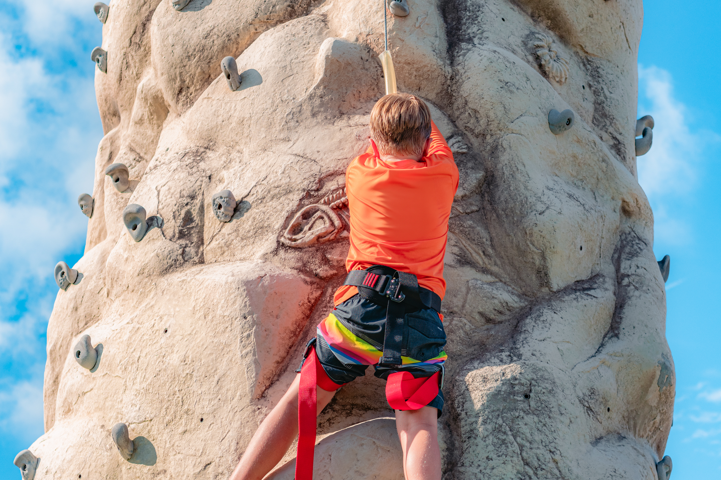 20240801-DSC06317-Edit