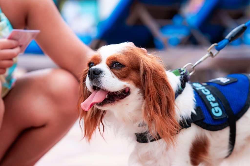 Bears-friend-visit-1024x683
