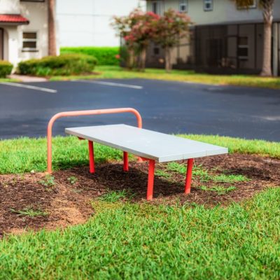 20240731-DSC04019-Enhanced-NR-Edit-1024x683