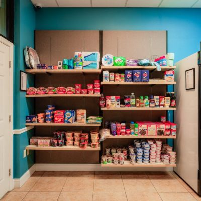 Bears-Shelves-1024x683